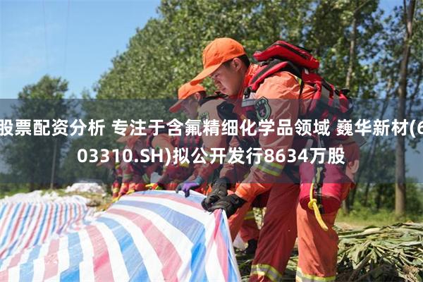 股票配资分析 专注于含氟精细化学品领域 巍华新材(603310.SH)拟公开发行8634万股
