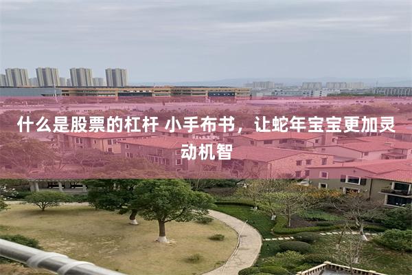 什么是股票的杠杆 小手布书，让蛇年宝宝更加灵动机智