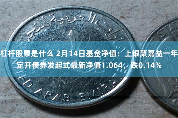 杠杆股票是什么 2月14日基金净值：上银聚嘉益一年定开债券发起式最新净值1.064，跌0.14%