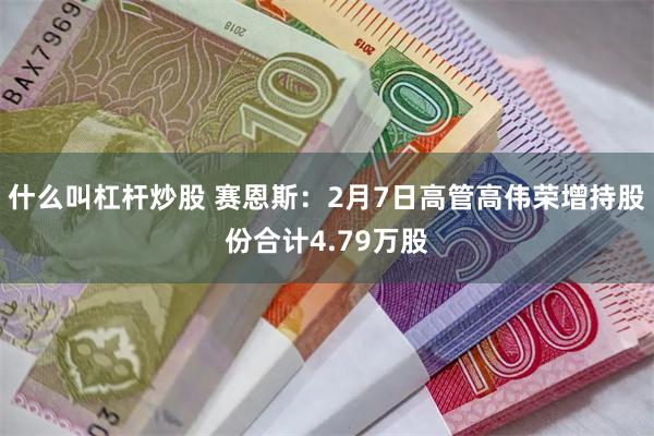 什么叫杠杆炒股 赛恩斯：2月7日高管高伟荣增持股份合计4.79万股