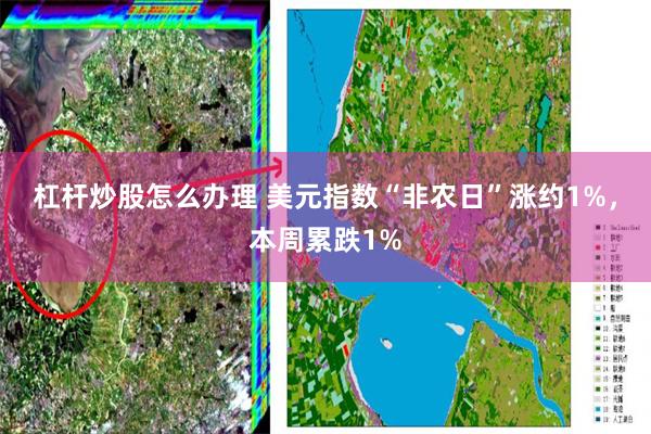 杠杆炒股怎么办理 美元指数“非农日”涨约1%，本周累跌1%