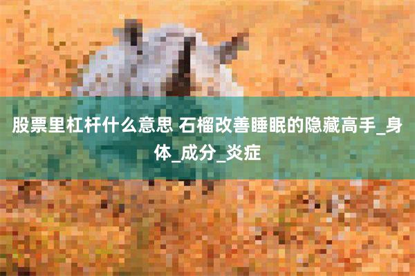股票里杠杆什么意思 石榴改善睡眠的隐藏高手_身体_成分_炎症