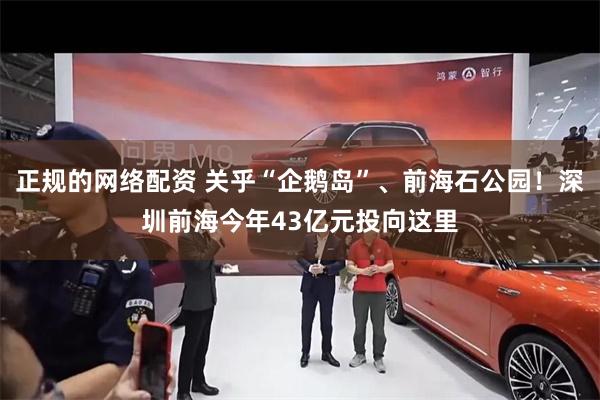 正规的网络配资 关乎“企鹅岛”、前海石公园！深圳前海今年43亿元投向这里