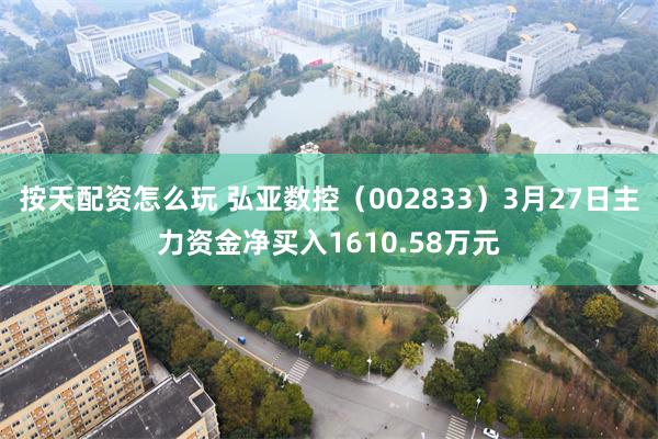 按天配资怎么玩 弘亚数控（002833）3月27日主力资金净买入1610.58万元