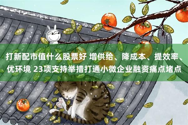 打新配市值什么股票好 增供给、降成本、提效率、优环境 23项支持举措打通小微企业融资痛点堵点
