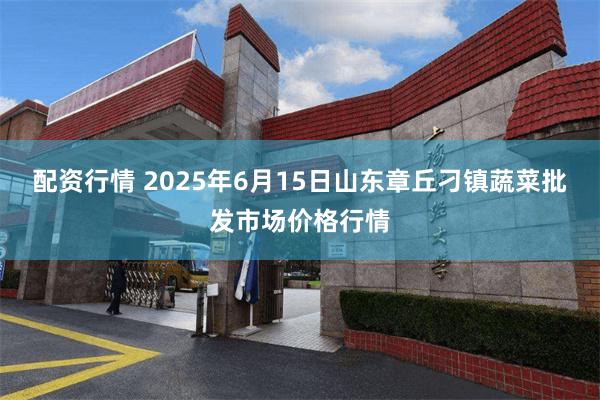 配资行情 2025年6月15日山东章丘刁镇蔬菜批发市场价格行情