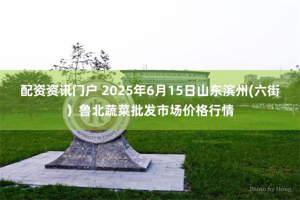 配资资讯门户 2025年6月15日山东滨州(六街）鲁北蔬菜批发市场价格行情