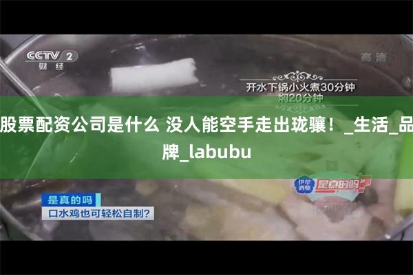 股票配资公司是什么 没人能空手走出珑骧！_生活_品牌_labubu