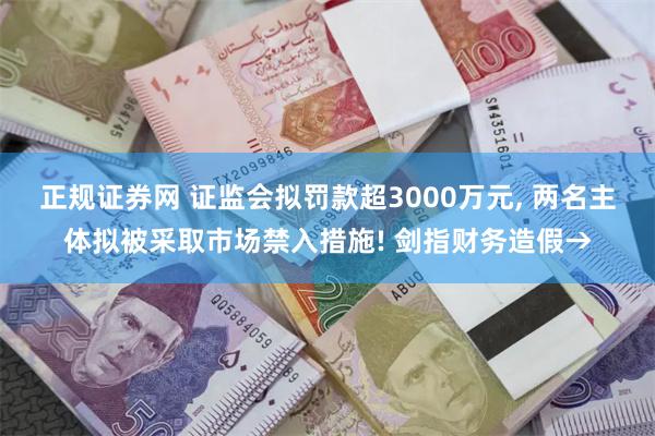 正规证券网 证监会拟罚款超3000万元, 两名主体拟被采取市场禁入措施! 剑指财务造假→