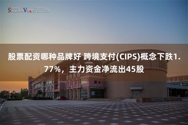 股票配资哪种品牌好 跨境支付(CIPS)概念下跌1.77%，主力资金净流出45股